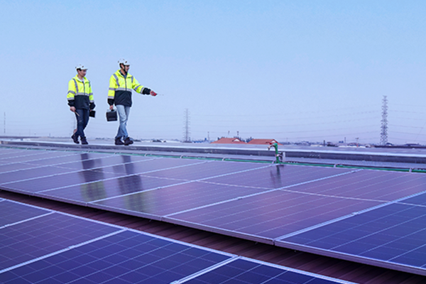 Förnybar energi för en hållbar framtid